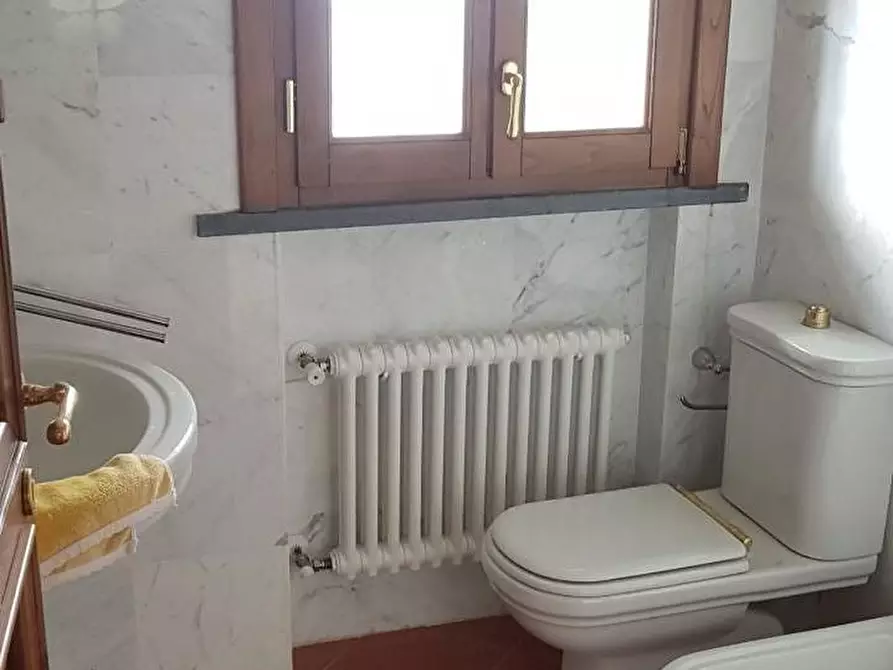 Immagine 19 di Villa in vendita  a Massa