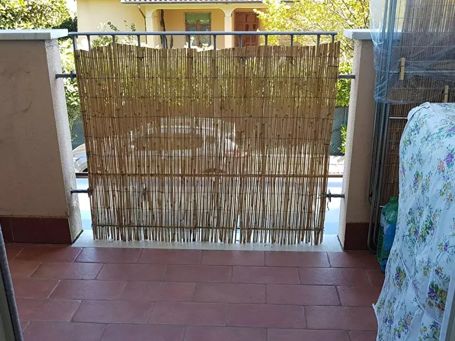 Immagine 14 di Appartamento in vendita  a Massa
