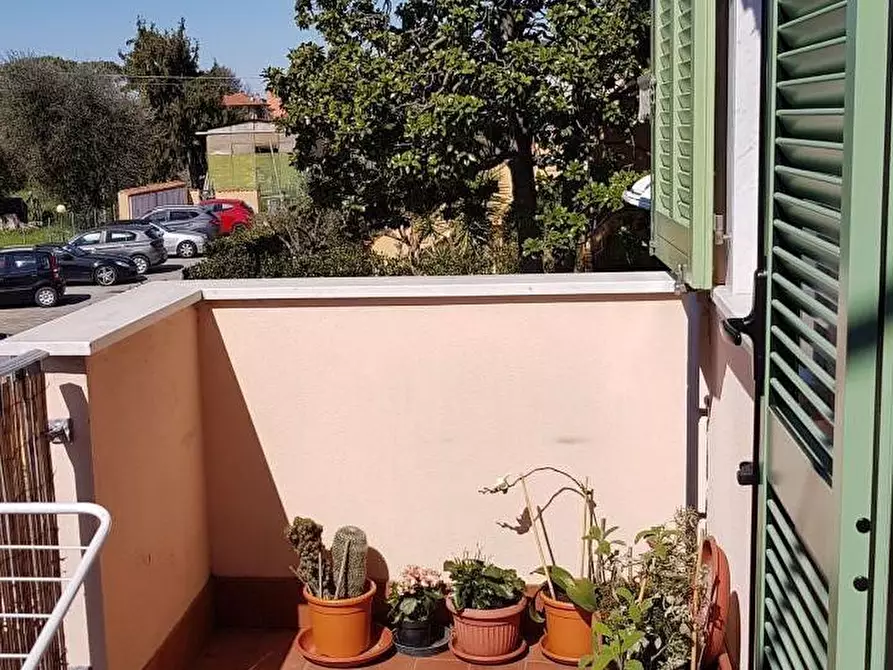 Immagine 13 di Appartamento in vendita  a Massa