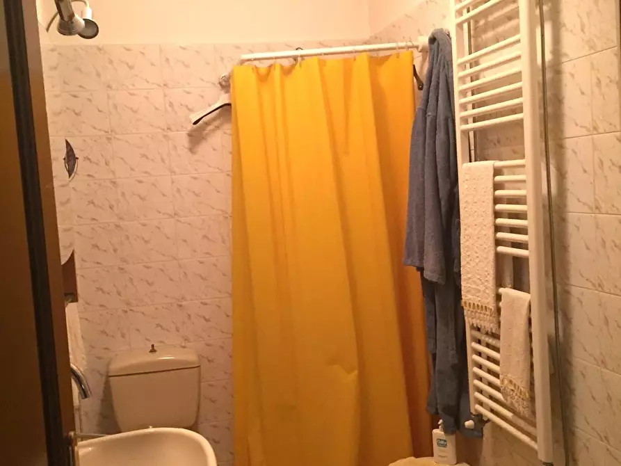 Immagine 13 di Mansarda in vendita  a Massa