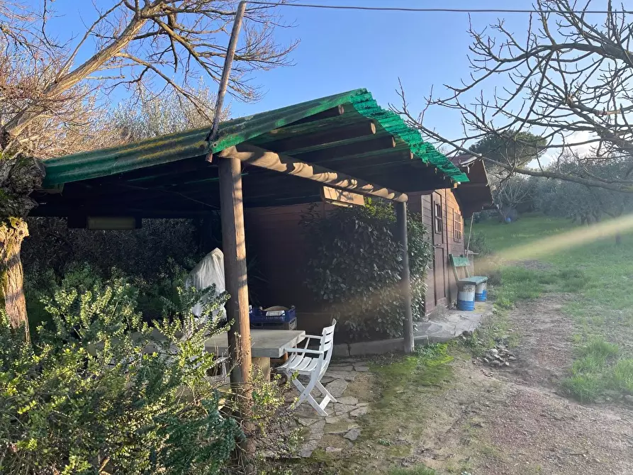 Immagine 3 di Terreno agricolo in vendita  a Casciana Terme Lari