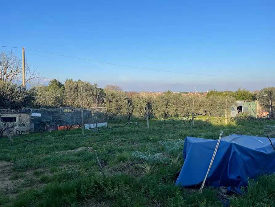 Immagine 9 di Terreno agricolo in vendita  a Casciana Terme Lari