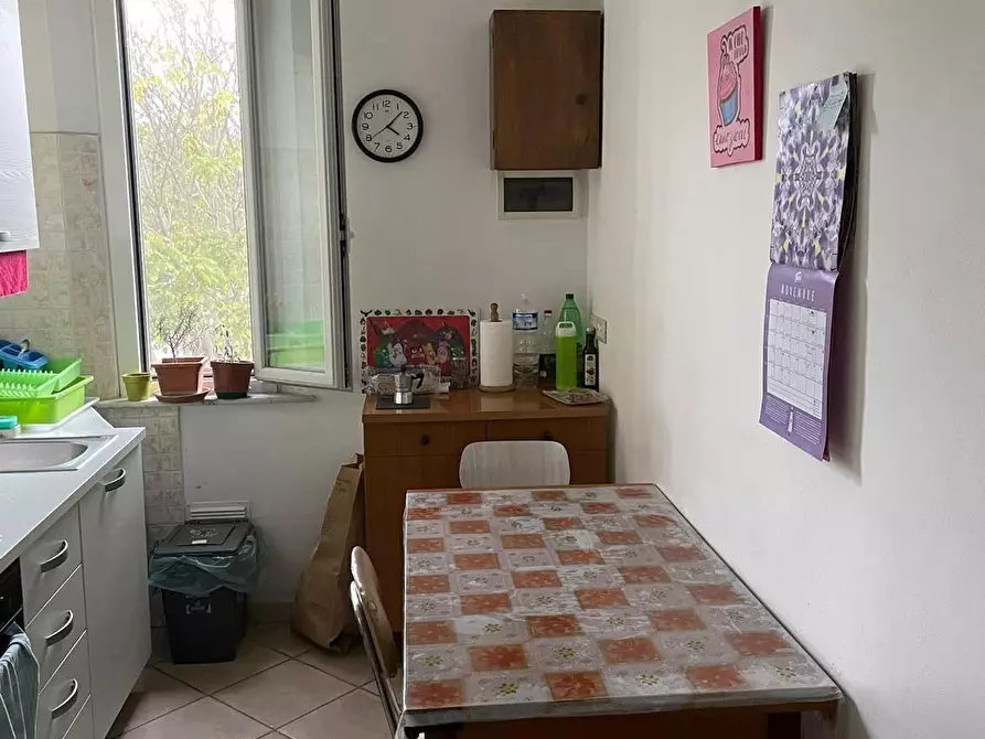 Immagine 2 di Appartamento in affitto  a Pisa