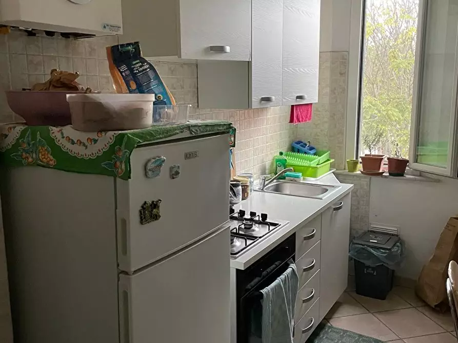 Immagine 1 di Appartamento in affitto  a Pisa