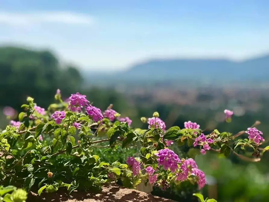 Immagine 19 di Villa in vendita  a Castelnuovo Magra