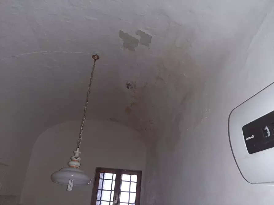 Immagine 6 di Appartamento in vendita  a Peccioli