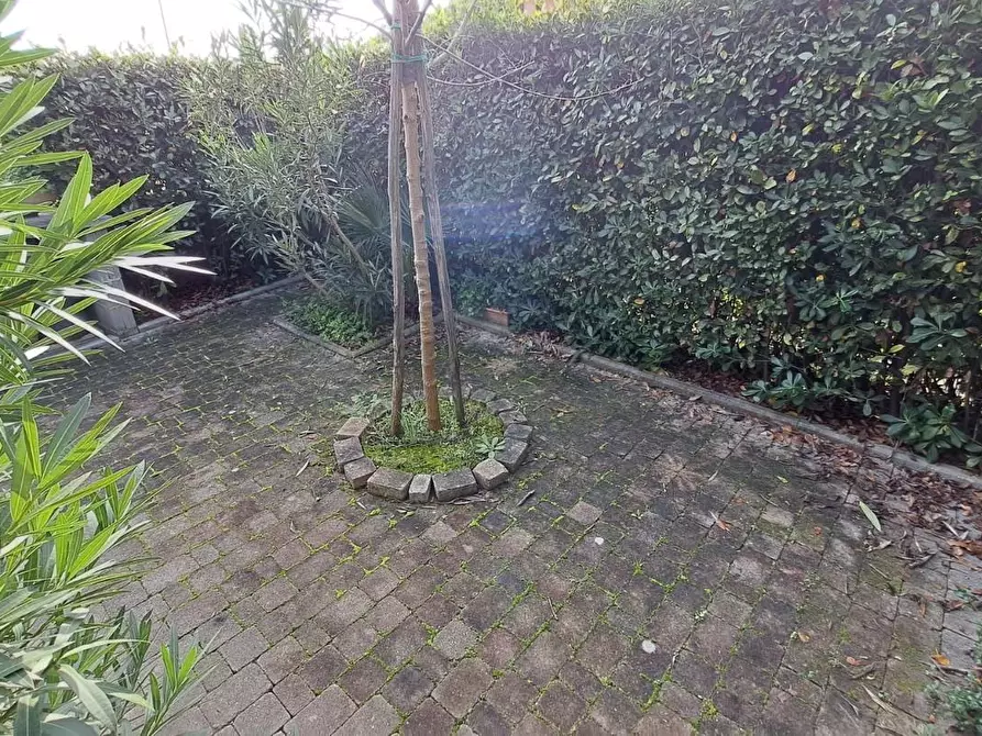 Immagine 4 di Appartamento in vendita  a Rosignano Marittimo