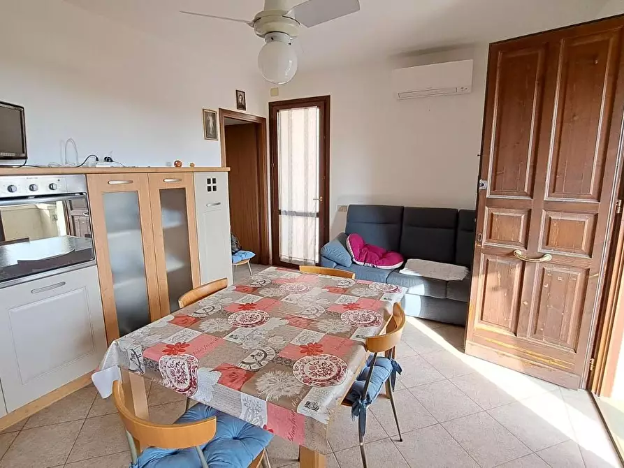 Immagine 9 di Appartamento in vendita  a Rosignano Marittimo