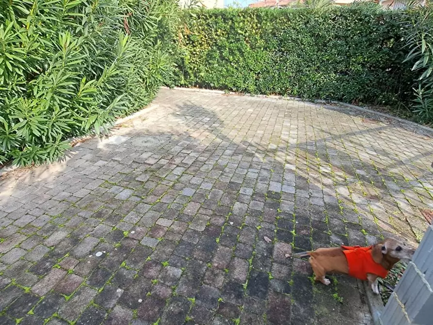 Immagine 3 di Appartamento in vendita  a Rosignano Marittimo