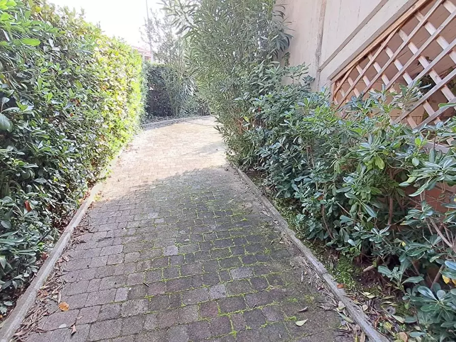 Immagine 22 di Appartamento in vendita  a Rosignano Marittimo