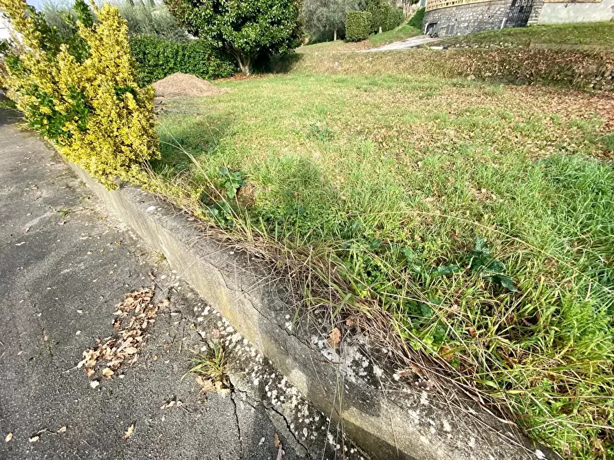 Immagine 21 di Appartamento in vendita  a Capannori