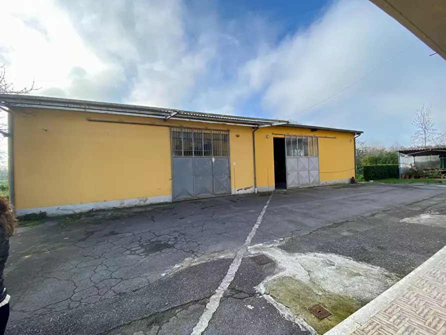 Immagine 20 di Appartamento in vendita  a Capannori