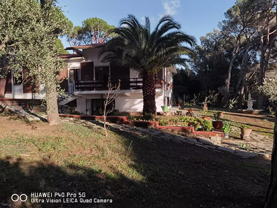 Immagine 6 di Villa in vendita  a Livorno