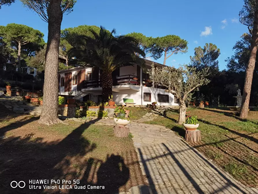 Immagine 4 di Villa in vendita  a Livorno