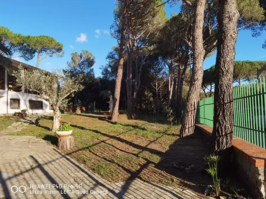 Immagine 2 di Villa in vendita  a Livorno