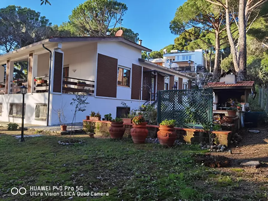 Immagine 8 di Villa in vendita  a Livorno