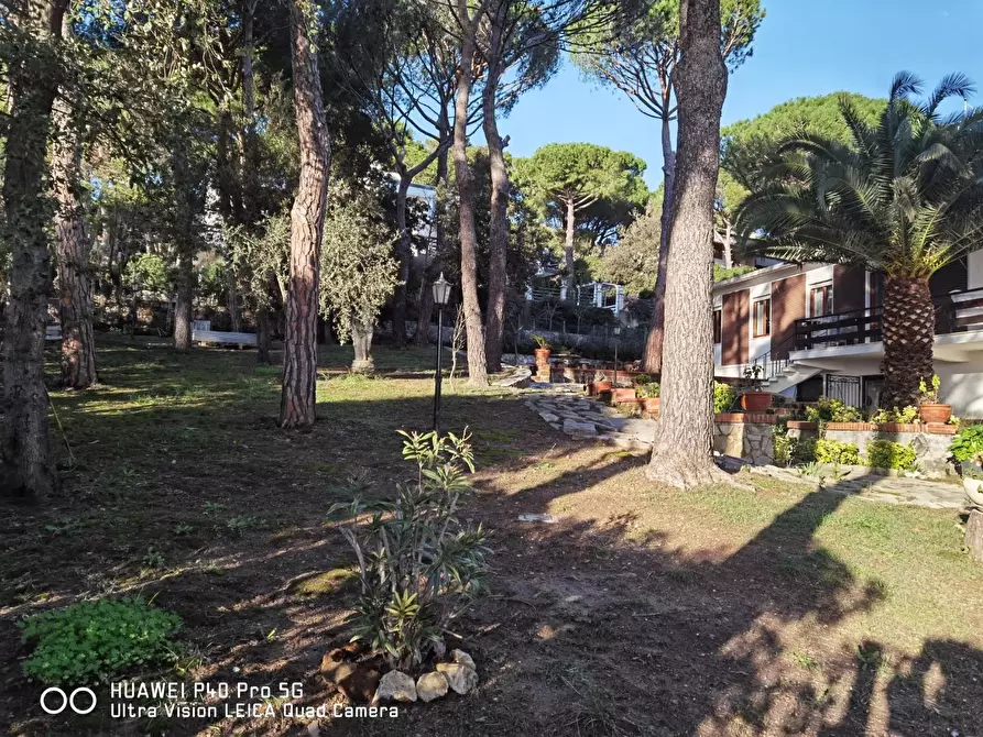 Immagine 5 di Villa in vendita  a Livorno