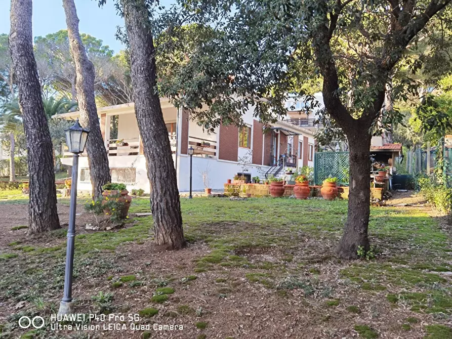 Immagine 7 di Villa in vendita  a Livorno