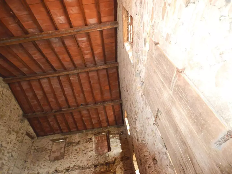 Immagine 3 di Terratetto in vendita  a Lucca