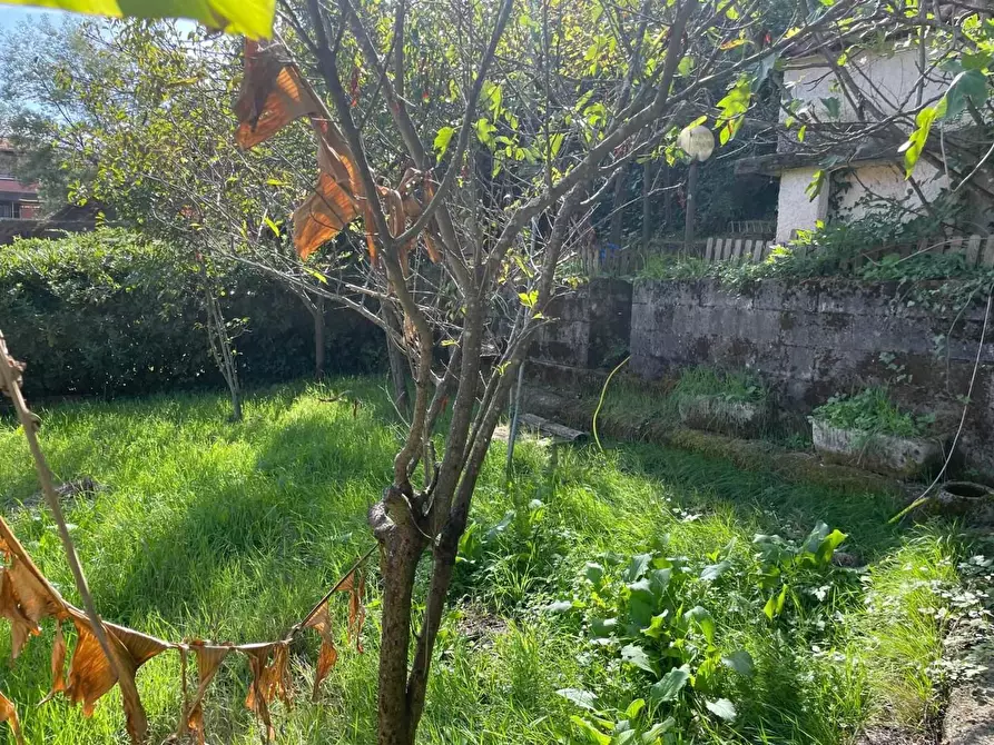 Immagine 15 di Appartamento in vendita  a Follo