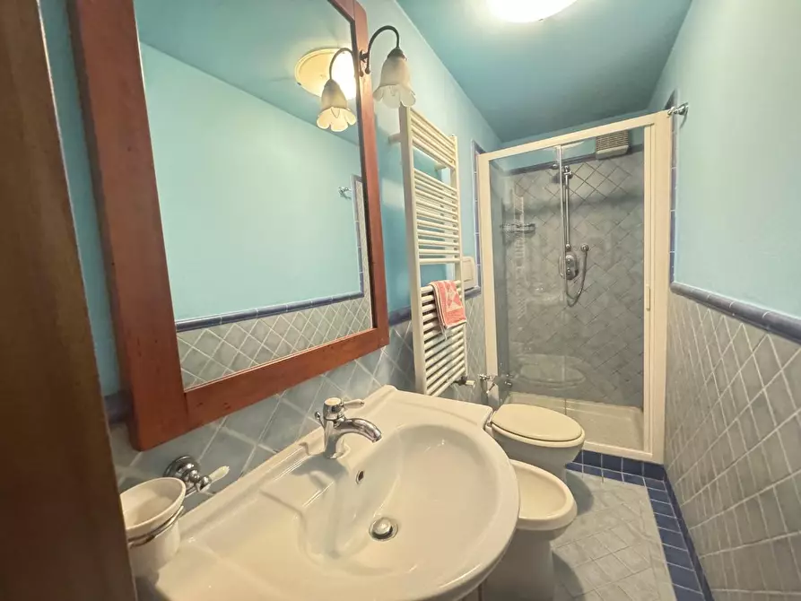 Immagine 32 di Villa in vendita  a Forte Dei Marmi