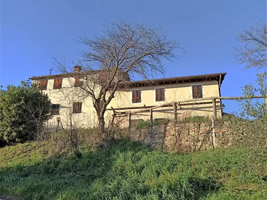 Immagine 43 di Rustico / casale in vendita  a Capannori
