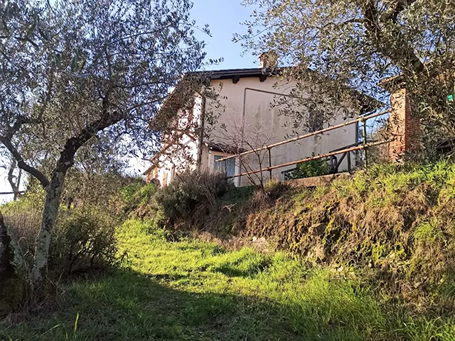 Immagine 40 di Rustico / casale in vendita  a Capannori