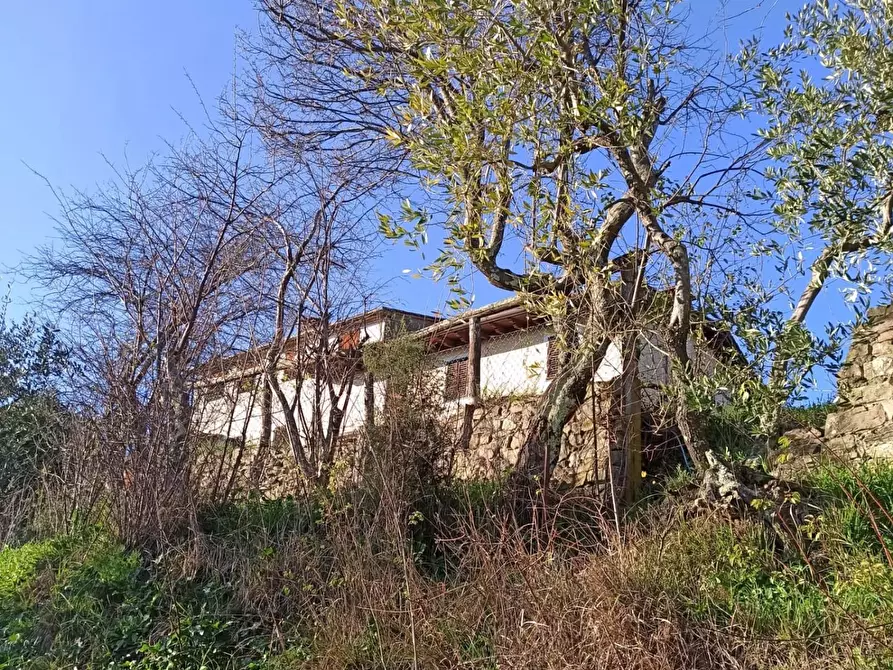 Immagine 44 di Rustico / casale in vendita  a Capannori