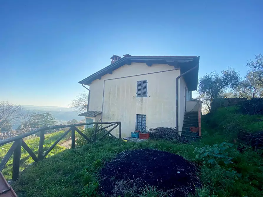 Immagine 38 di Rustico / casale in vendita  a Capannori