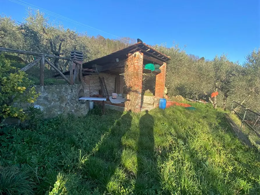 Immagine 41 di Rustico / casale in vendita  a Capannori