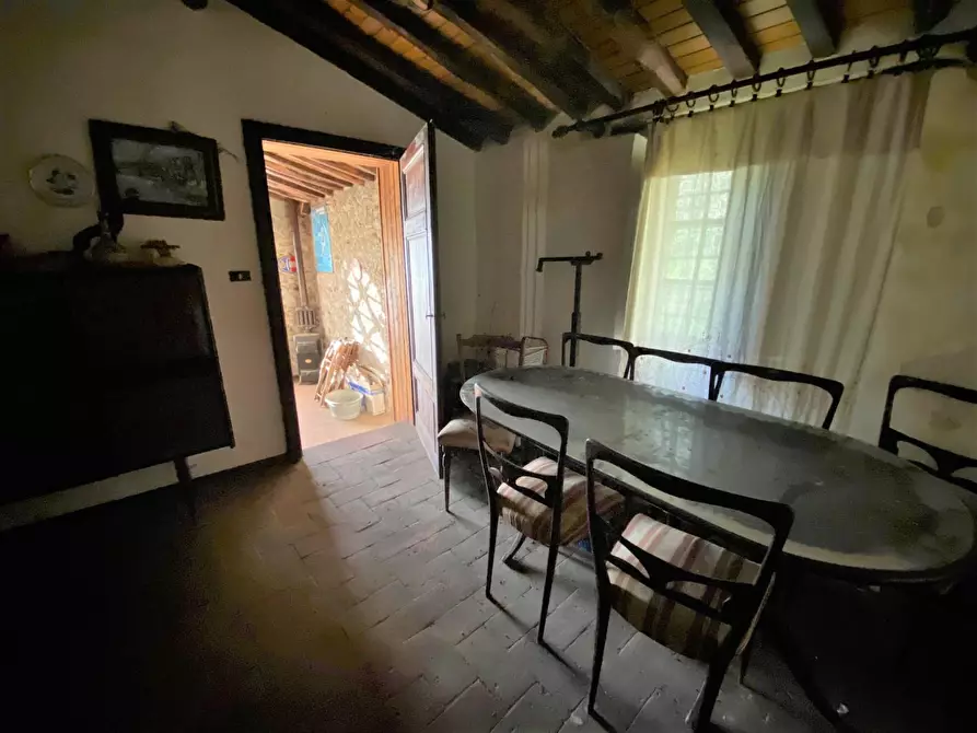 Immagine 29 di Rustico / casale in vendita  a Capannori