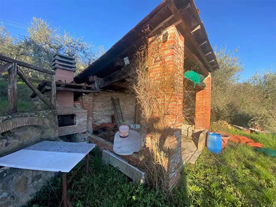 Immagine 42 di Rustico / casale in vendita  a Capannori