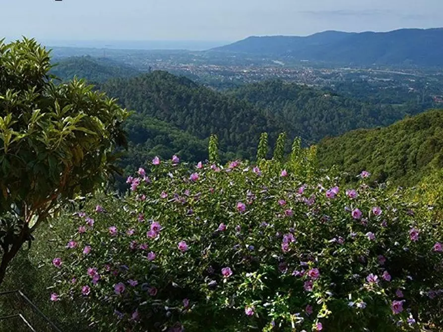 Immagine 8 di Terratetto in vendita  a Santo Stefano Di Magra