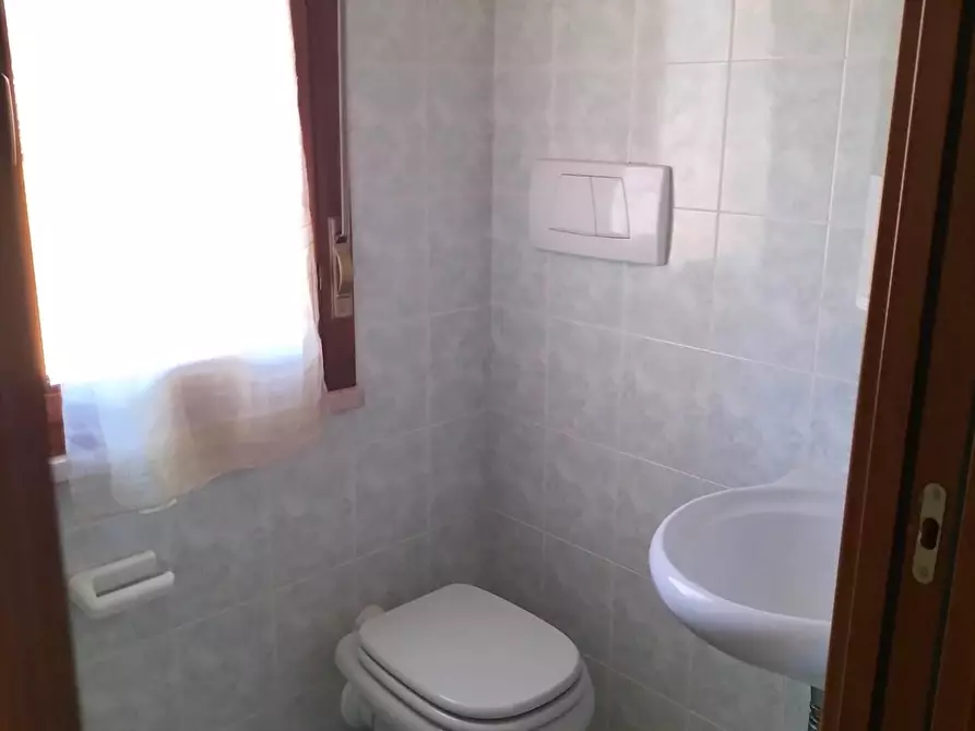 Immagine 6 di Appartamento in affitto  a Pisa