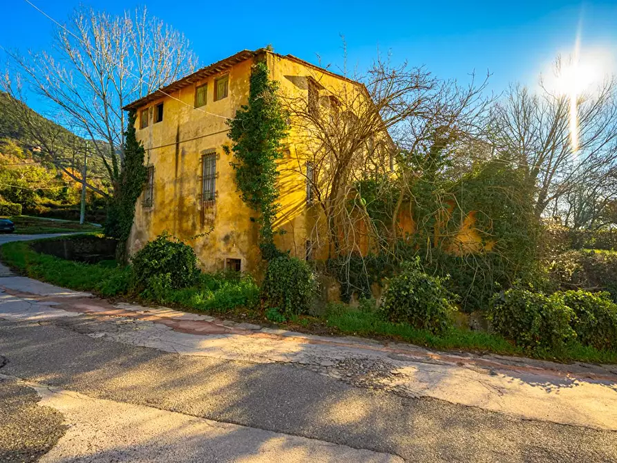 Immagine 10 di Rustico / casale in vendita  a San Giuliano Terme