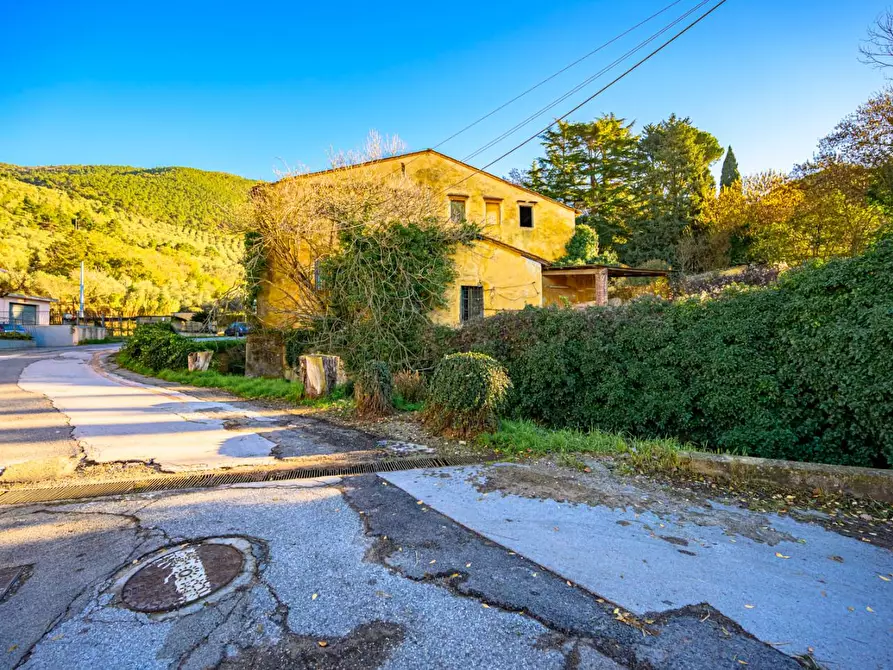 Immagine 4 di Rustico / casale in vendita  a San Giuliano Terme