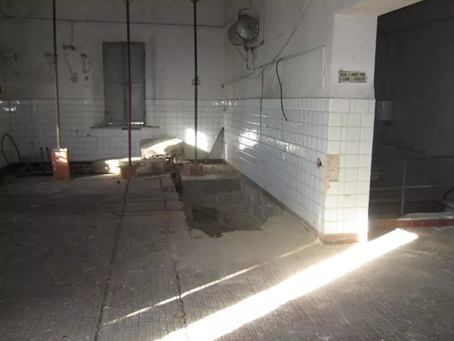 Immagine 43 di Rustico / casale in vendita  a San Giuliano Terme