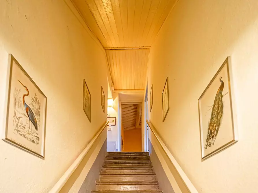 Immagine 23 di Rustico / casale in vendita  a San Giuliano Terme