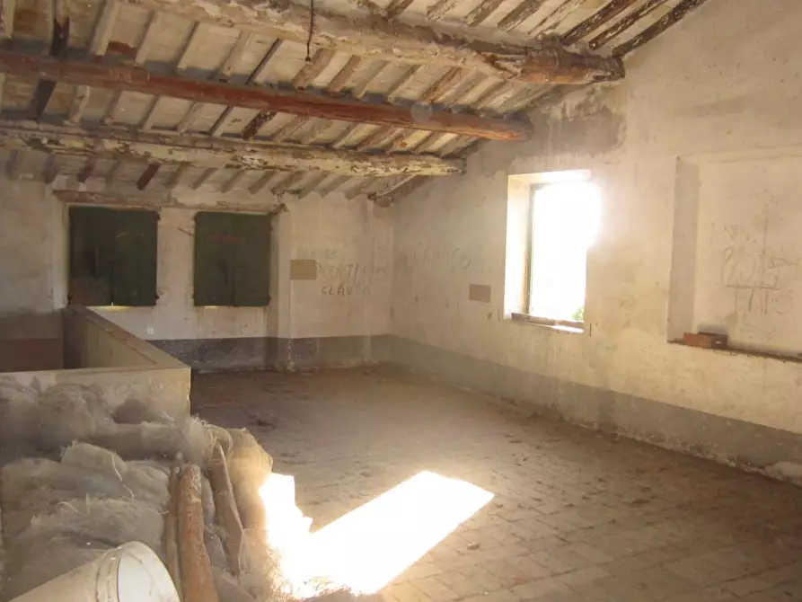 Immagine 50 di Rustico / casale in vendita  a San Giuliano Terme