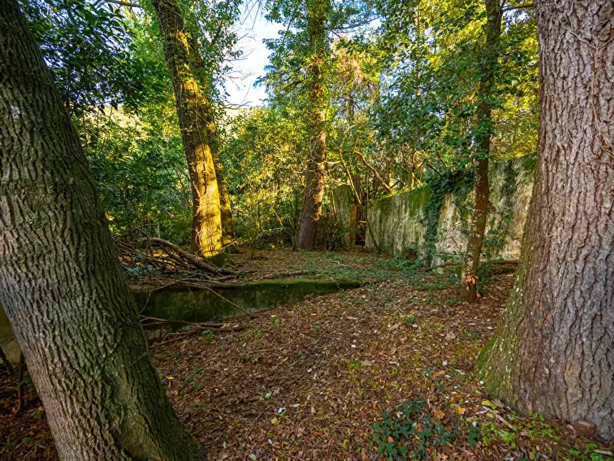 Immagine 42 di Rustico / casale in vendita  a San Giuliano Terme