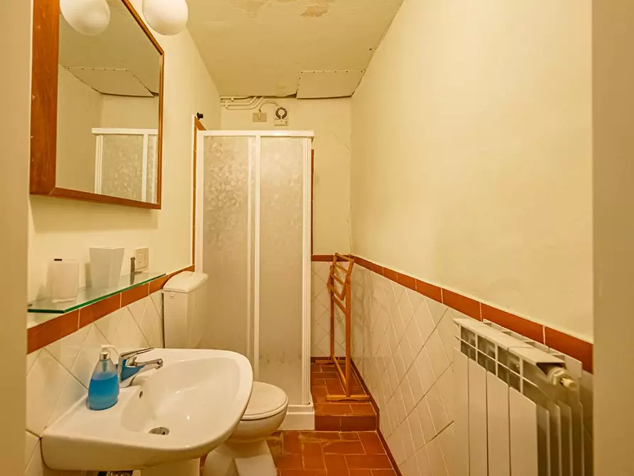 Immagine 41 di Rustico / casale in vendita  a San Giuliano Terme