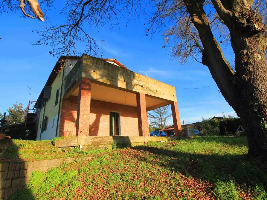 Immagine 3 di Casa colonica in vendita  a Vinci