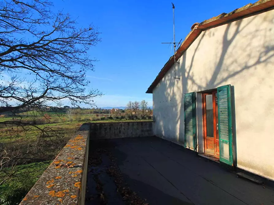 Immagine 16 di Casa colonica in vendita  a Vinci