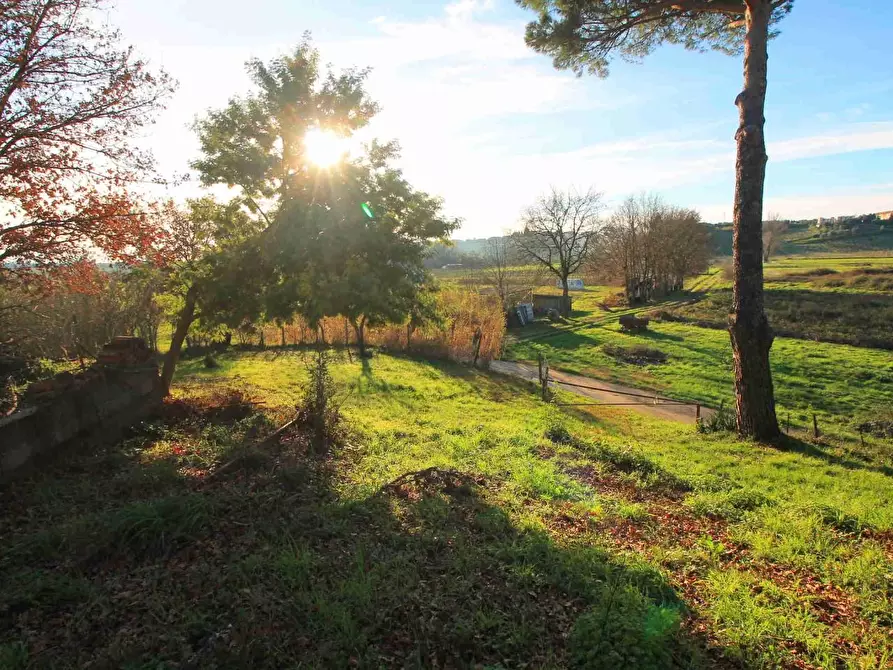 Immagine 4 di Casa colonica in vendita  a Vinci