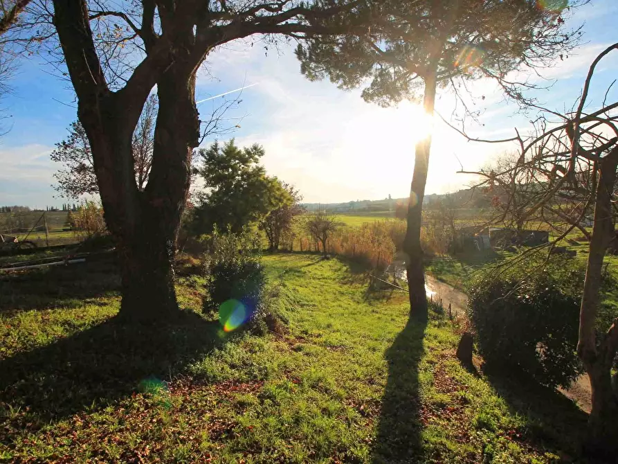 Immagine 2 di Casa colonica in vendita  a Vinci