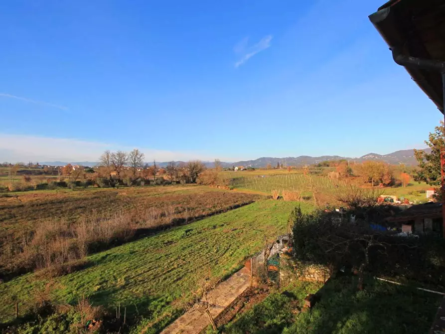 Immagine 17 di Casa colonica in vendita  a Vinci