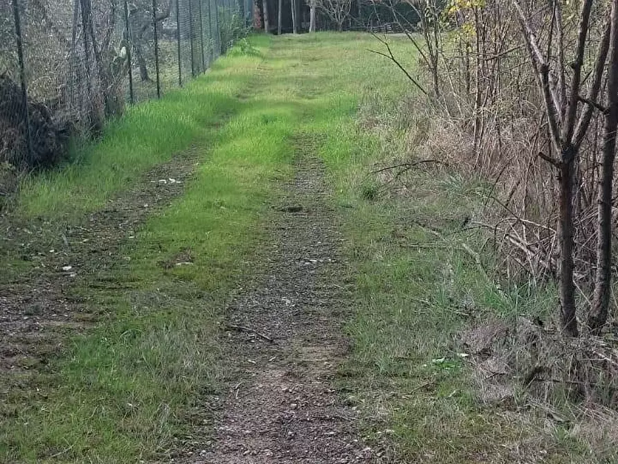 Immagine 4 di Villa in vendita  a Montelupo Fiorentino