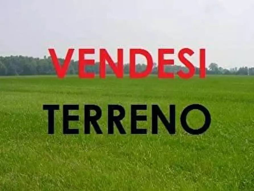 Immagine 3 di Terreno agricolo in vendita  a San Giuliano Terme