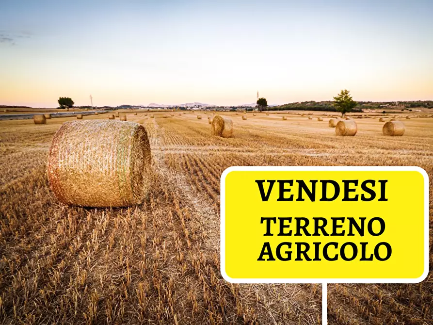 Immagine 2 di Terreno agricolo in vendita  a San Giuliano Terme