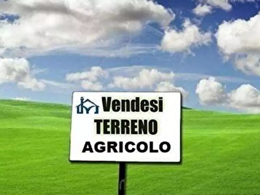 Immagine 1 di Terreno agricolo in vendita  a San Giuliano Terme